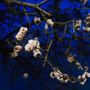 2022年亚洲午夜一区二区福利
